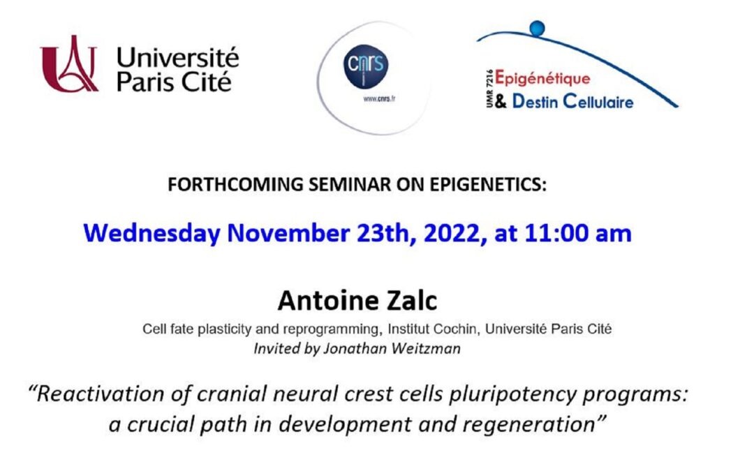 Antoine Zalc seminar – November 23, 2022