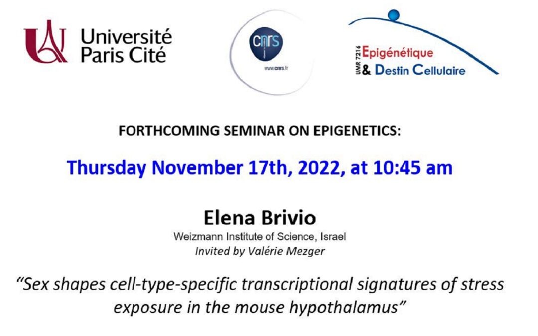 Elena Brivio seminar – November 17, 2022