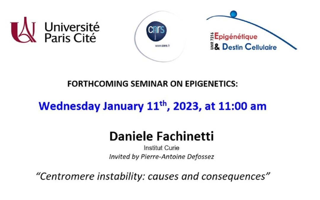 Daniele Fachinetti seminar