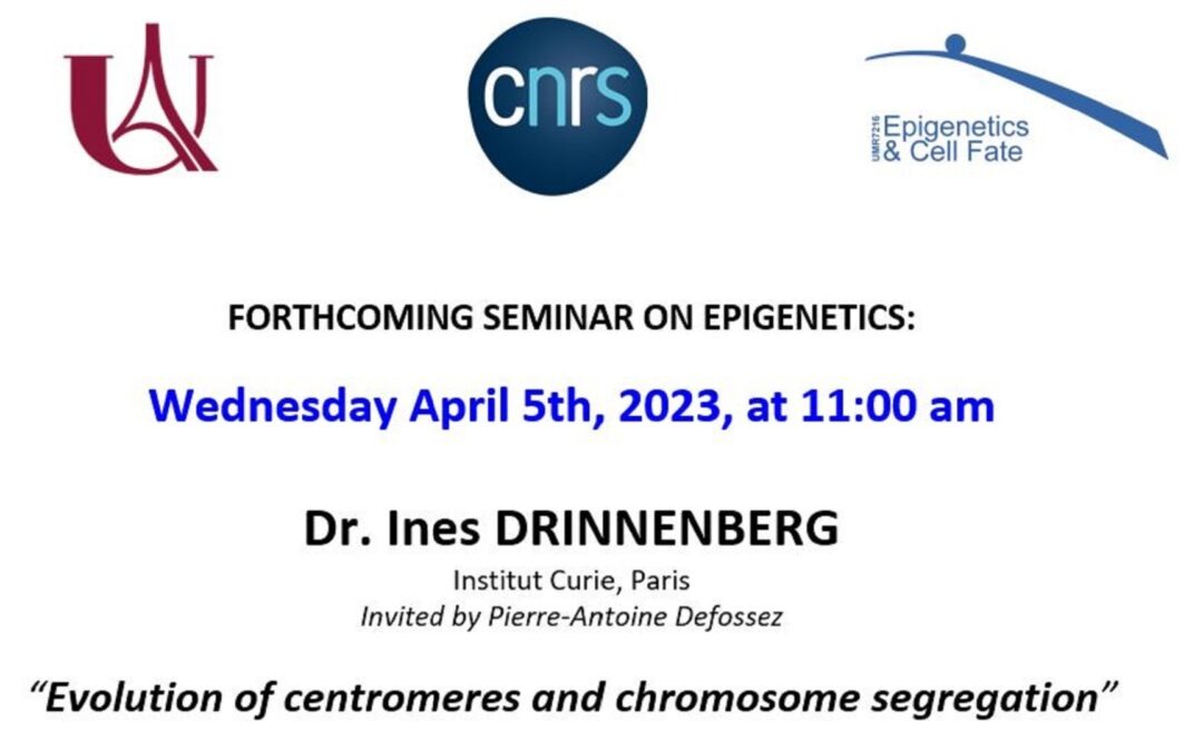Ines Drinnenberg seminar