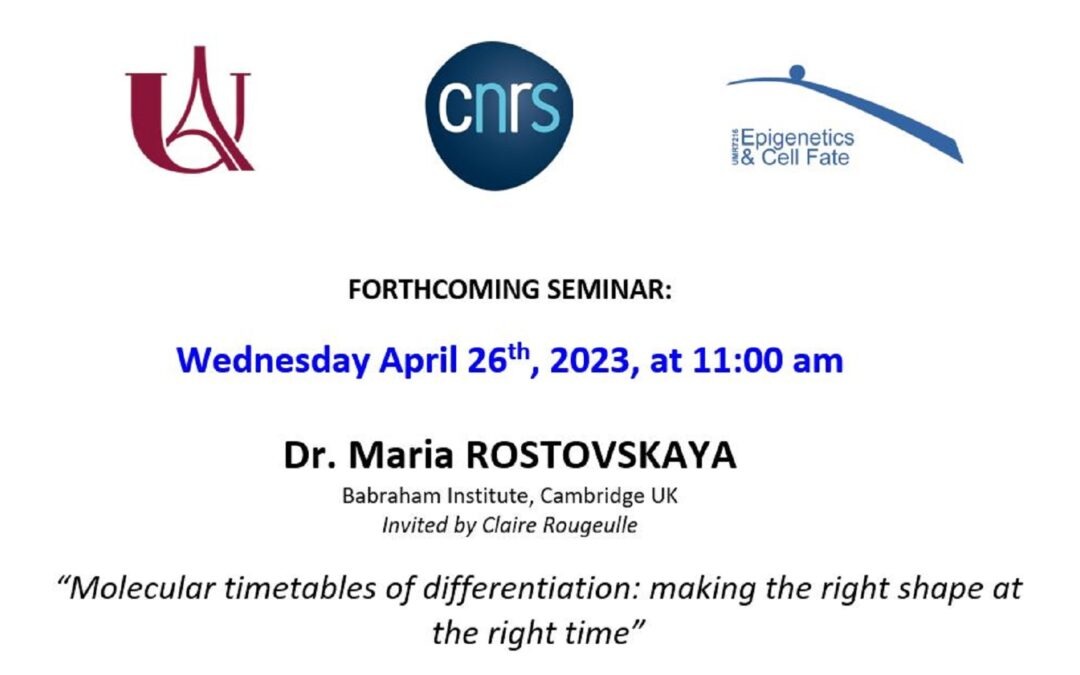 Maria Rostovskaya seminar