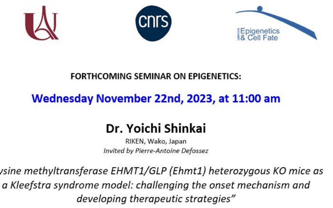 Yoichi Shinkai seminar