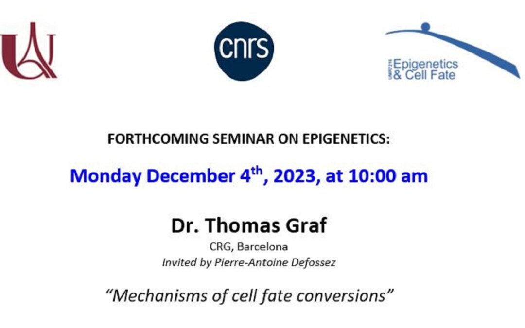 Thomas Graf seminar
