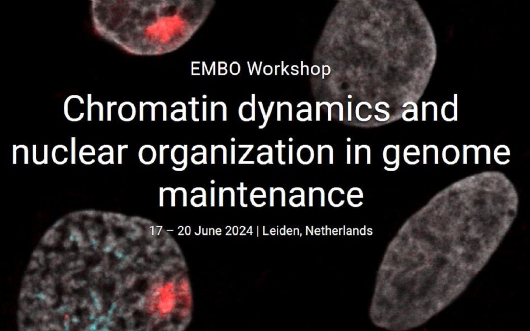 Workshop EMBO “Chromatin dynamics and nuclear organization in genome maintenance”