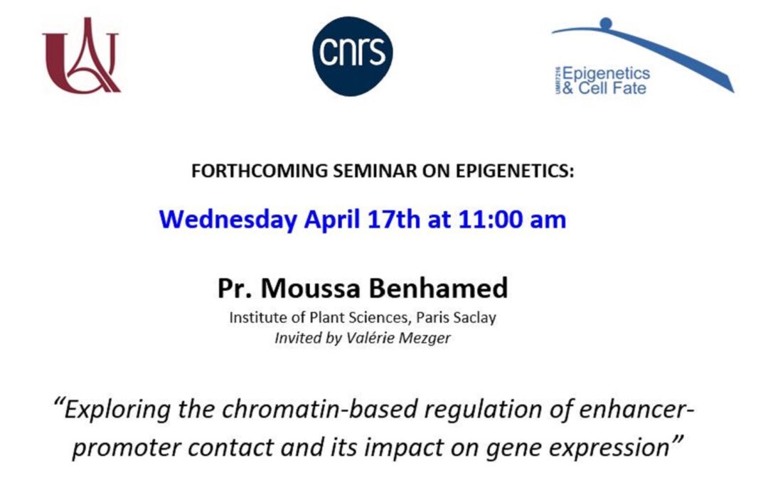 Moussa Benhamed seminar – April 17, 2024