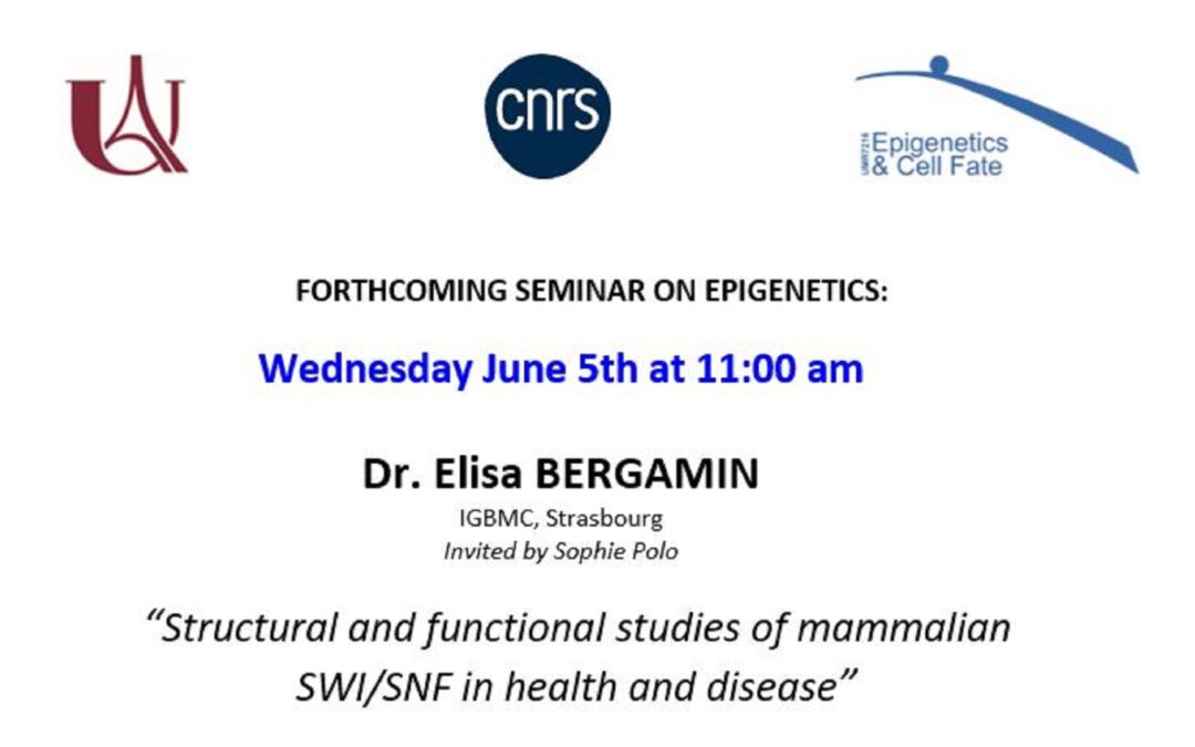Elisa Bergamin seminar – June 5, 2024