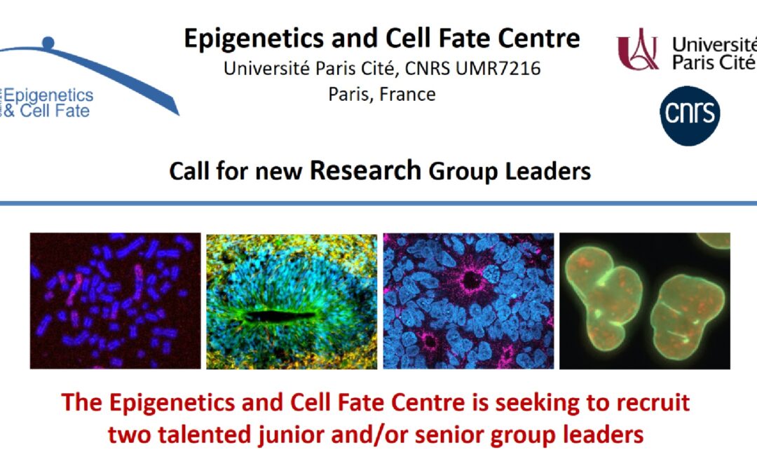 Call for new Research Group Leaders