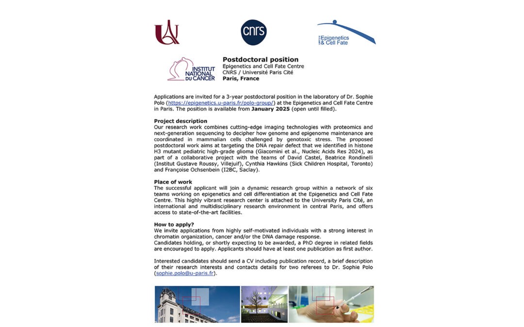 Postdoctoral position in epigenetics and cancer