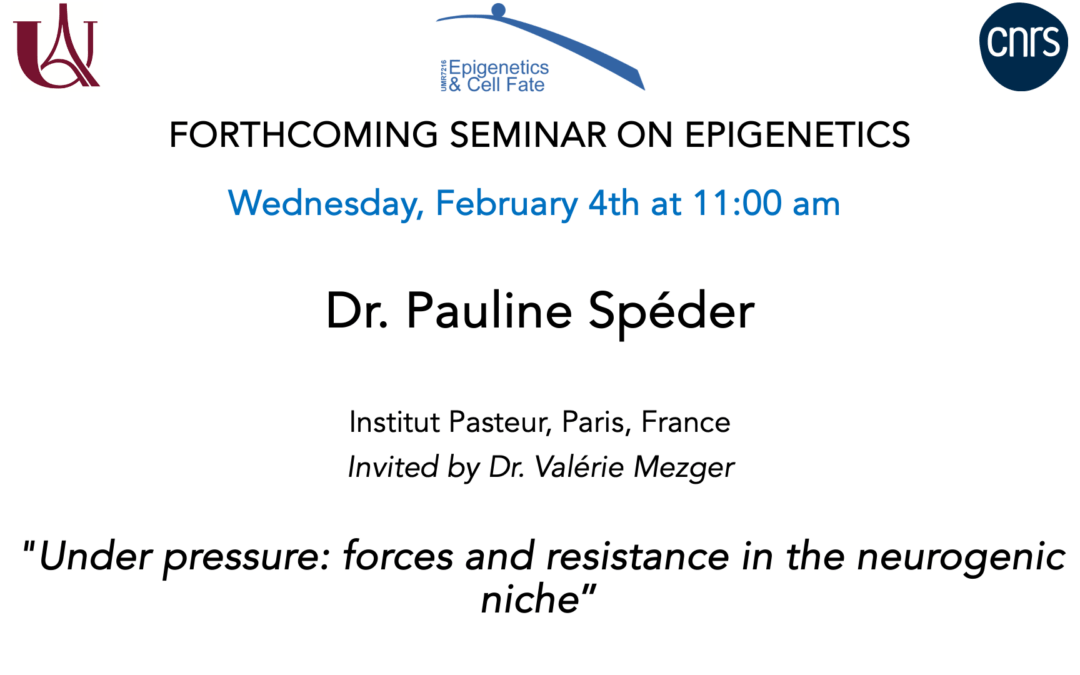 Pauline Spéder Seminar – February 4, 2026