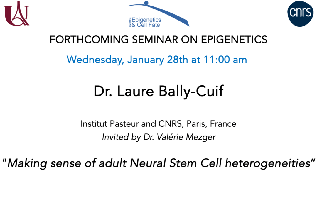 Laure Bally-Cuif  Seminar – January 28, 2026