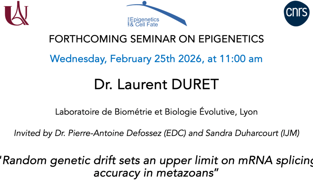 Laurent Duret Seminar – February 25, 2026