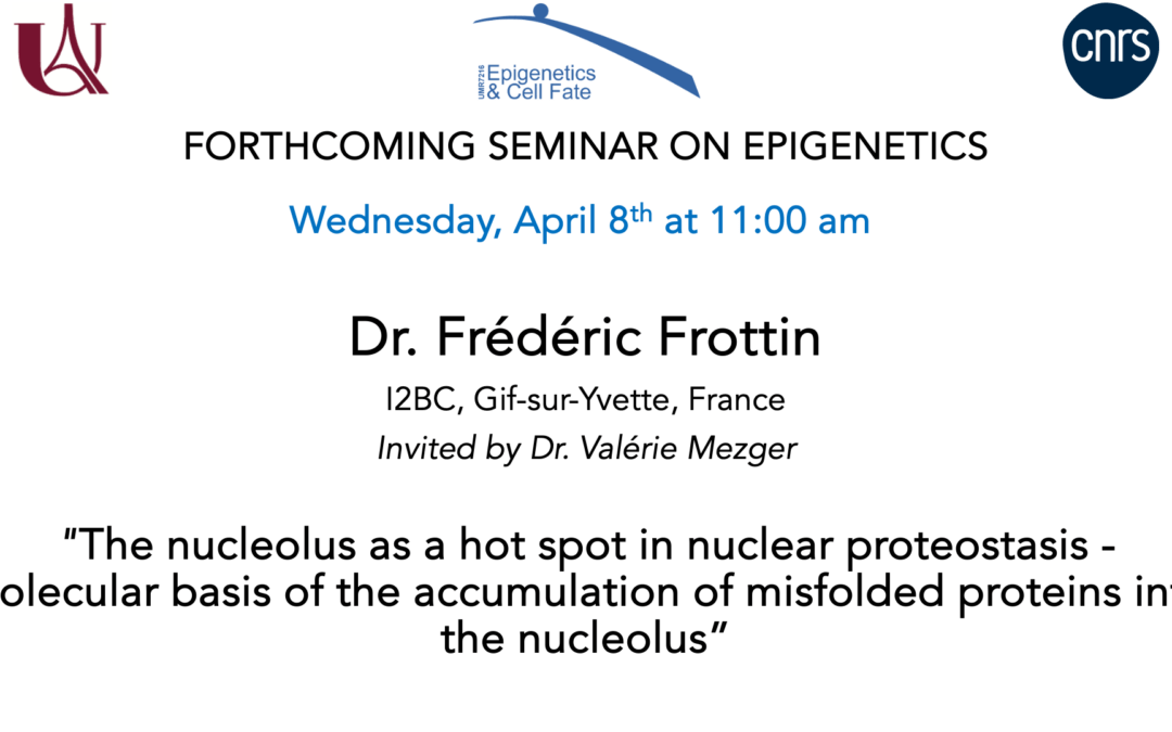 Séminaire Frédéric Frottin – 8 Avril 2026