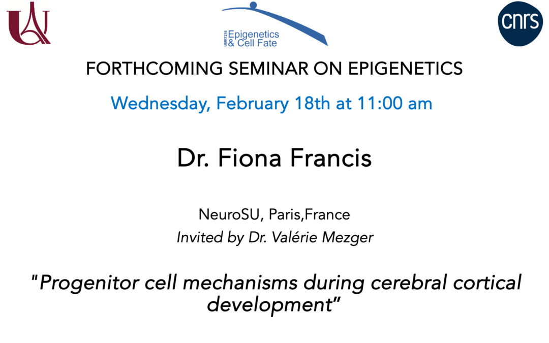 Fiona Francis Seminar – February 18, 2026