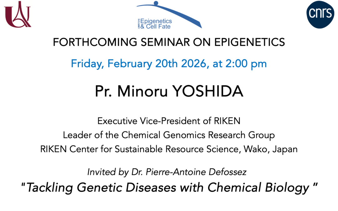 Minoru Yoshida Seminar – February 20, 2026