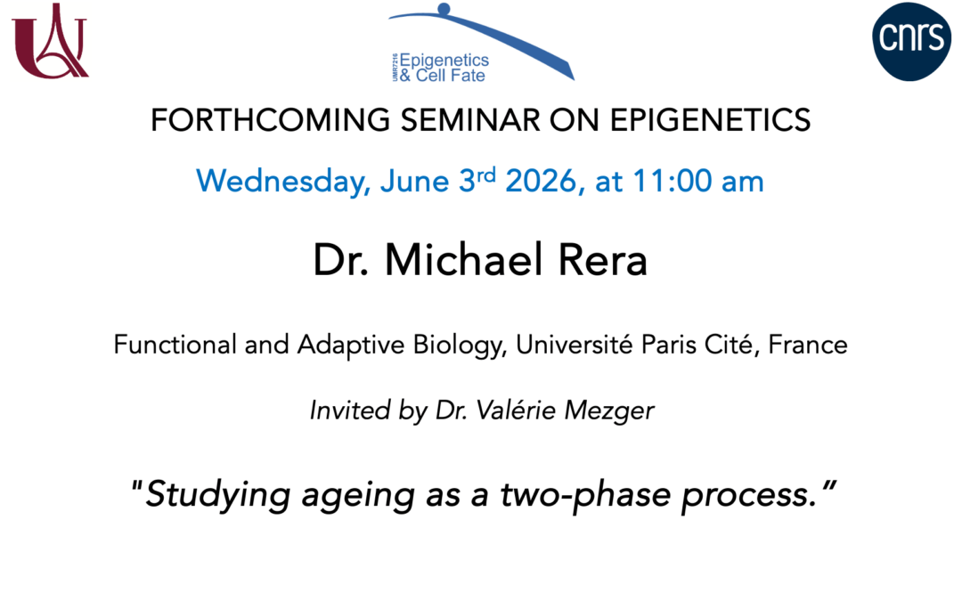 Seminar Michael Rera –June 3, 2026