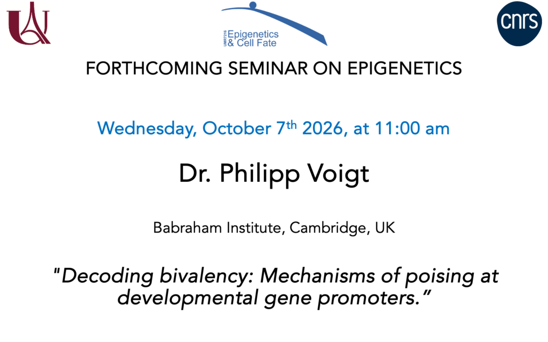 Séminaire Philipp Voigt – 7 octobre 2026