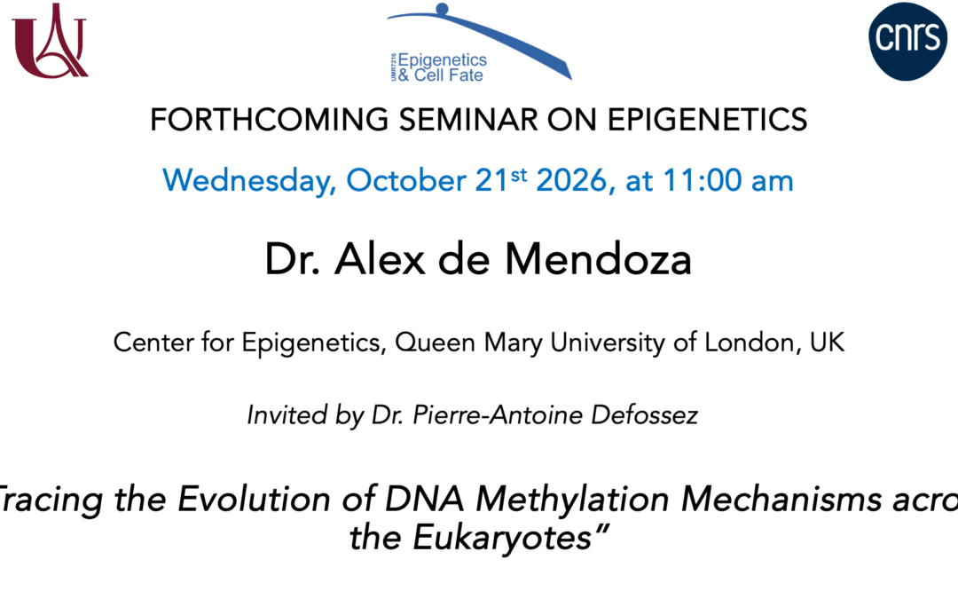 Seminar Alex de Mendoza  – October 21, 2026